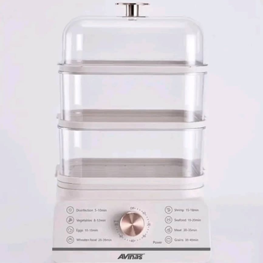 Steam food processor