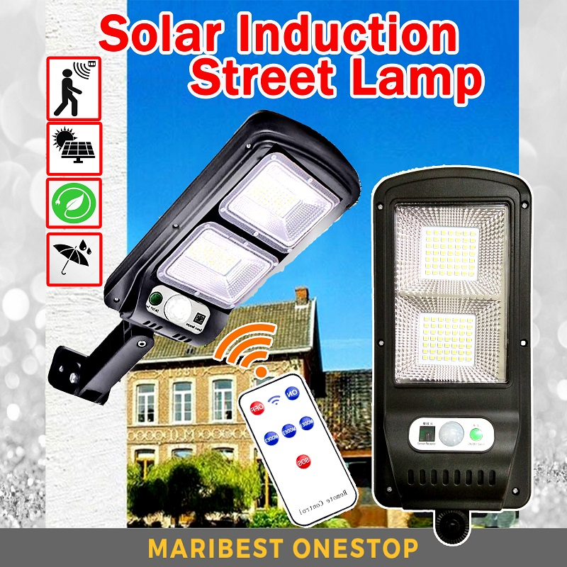 Solar Induction Street Lamp