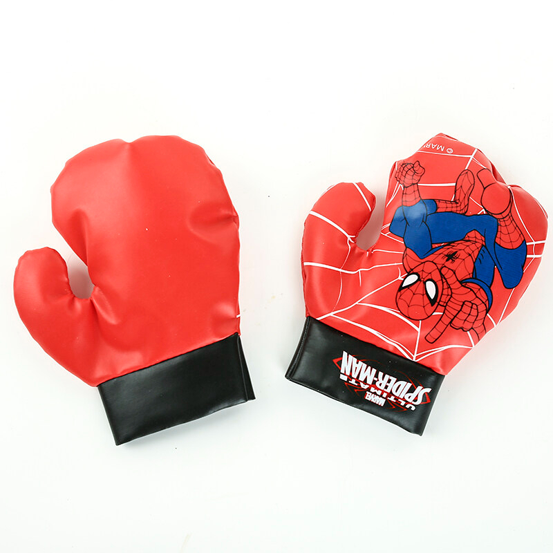 Punching Bag and Gloves Set