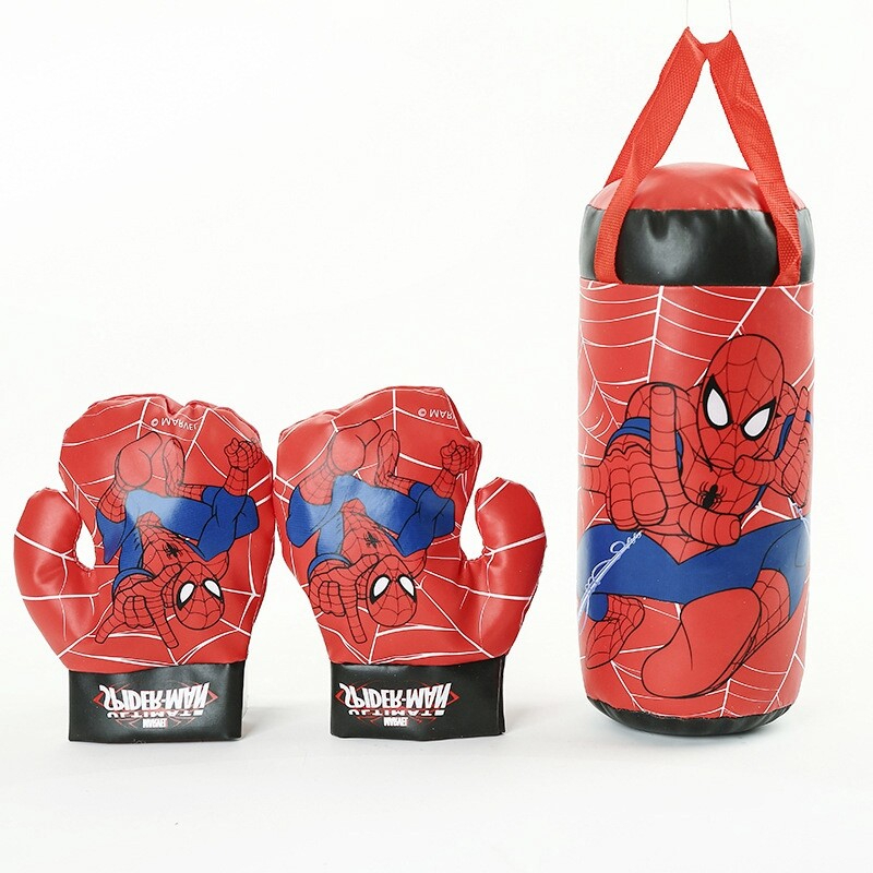 Punching Bag and Gloves Set