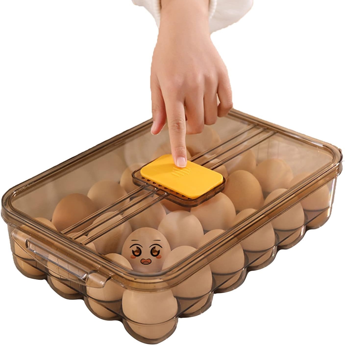 Egg Storage Box