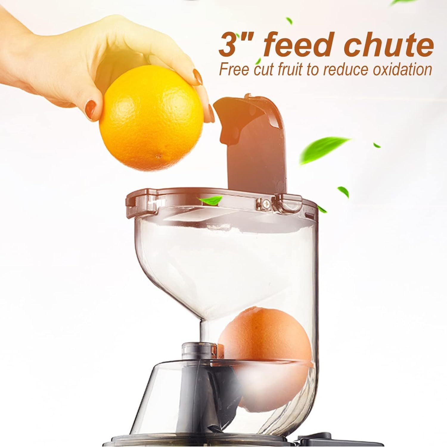 Electric fruit juicer