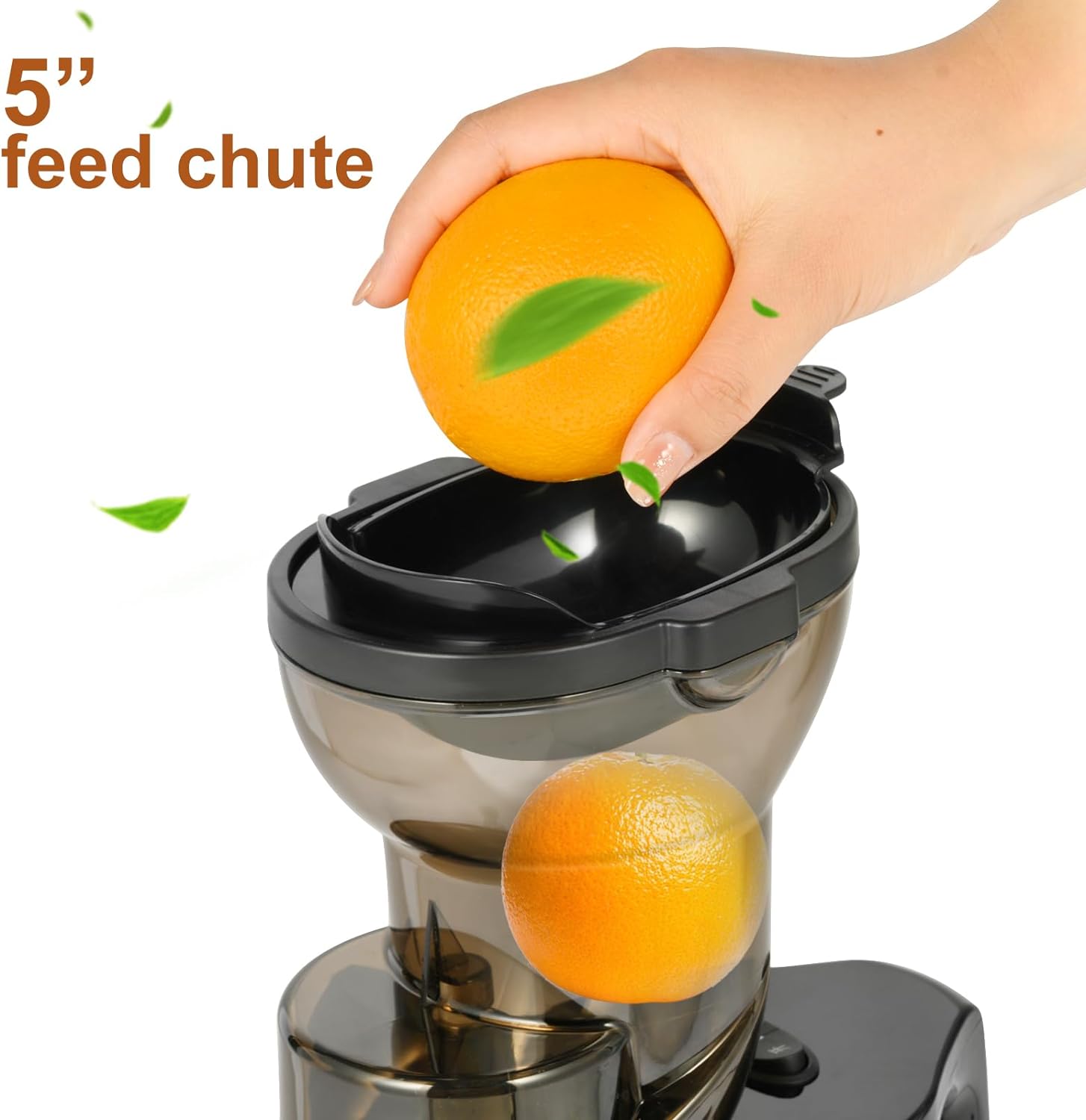 Electric fruit juicer